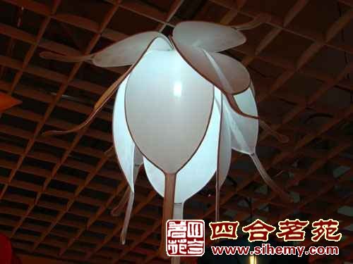 ��ʽ�����