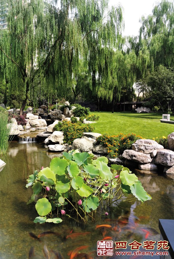 ��ʽ԰��Ч��ͼ